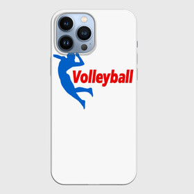 Чехол для iPhone 13 Pro Max с принтом Волейбол 31 в Санкт-Петербурге,  |  | Тематика изображения на принте: volleyball | волейбол