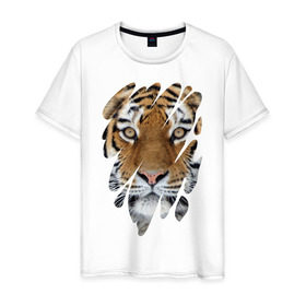 Мужская футболка хлопок с принтом Ярость тигра в Санкт-Петербурге, 100% хлопок | прямой крой, круглый вырез горловины, длина до линии бедер, слегка спущенное плечо. | tiger | дикая кошка | тигр | хищник