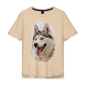 Мужская футболка хлопок Oversize с принтом Симпотяга волк в Санкт-Петербурге, 100% хлопок | свободный крой, круглый ворот, “спинка” длиннее передней части | зверь | серый | хаски | хаски бандит