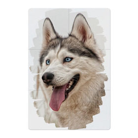 Магнитный плакат 2Х3 с принтом Симпотяга волк в Санкт-Петербурге, Полимерный материал с магнитным слоем | 6 деталей размером 9*9 см | Тематика изображения на принте: зверь | серый | хаски | хаски бандит