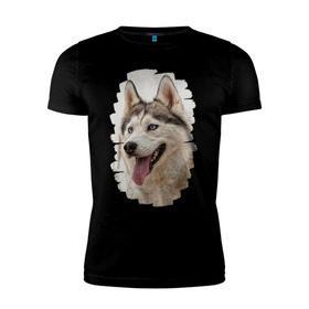 Мужская футболка премиум с принтом Симпотяга волк в Санкт-Петербурге, 92% хлопок, 8% лайкра | приталенный силуэт, круглый вырез ворота, длина до линии бедра, короткий рукав | зверь | серый | хаски | хаски бандит