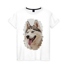 Женская футболка хлопок с принтом Симпотяга волк в Санкт-Петербурге, 100% хлопок | прямой крой, круглый вырез горловины, длина до линии бедер, слегка спущенное плечо | зверь | серый | хаски | хаски бандит