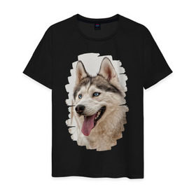 Мужская футболка хлопок с принтом Симпотяга волк в Санкт-Петербурге, 100% хлопок | прямой крой, круглый вырез горловины, длина до линии бедер, слегка спущенное плечо. | зверь | серый | хаски | хаски бандит