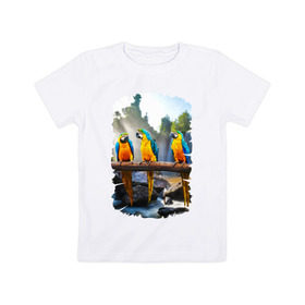 Детская футболка хлопок с принтом Попугаи на ветке в Санкт-Петербурге, 100% хлопок | круглый вырез горловины, полуприлегающий силуэт, длина до линии бедер | Тематика изображения на принте: джунгли | клюв | острова | перья | попугай | птица | тропики | экзотика