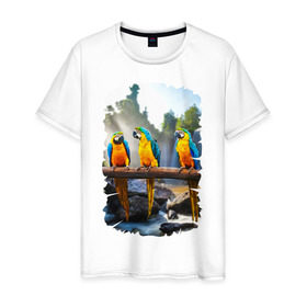 Мужская футболка хлопок с принтом Попугаи на ветке в Санкт-Петербурге, 100% хлопок | прямой крой, круглый вырез горловины, длина до линии бедер, слегка спущенное плечо. | джунгли | клюв | острова | перья | попугай | птица | тропики | экзотика