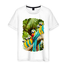 Мужская футболка хлопок с принтом Экзотические попугаи в Санкт-Петербурге, 100% хлопок | прямой крой, круглый вырез горловины, длина до линии бедер, слегка спущенное плечо. | Тематика изображения на принте: джунгли | клюв | острова | перья | попугай | птица | тропики | экзотика