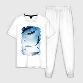 Мужская пижама хлопок с принтом Акулы в Санкт-Петербурге, 100% хлопок | брюки и футболка прямого кроя, без карманов, на брюках мягкая резинка на поясе и по низу штанин
 | акулы | море