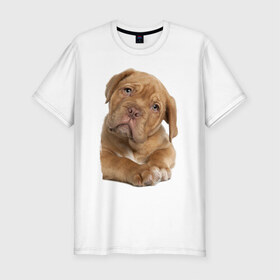 Мужская футболка премиум с принтом Милый щеночек в Санкт-Петербурге, 92% хлопок, 8% лайкра | приталенный силуэт, круглый вырез ворота, длина до линии бедра, короткий рукав | животное | зверёк | красивый | ласковый | лучший друг человека | любимец | милый | нежный | питомец | собака | собачонка | щенок | щеночек
