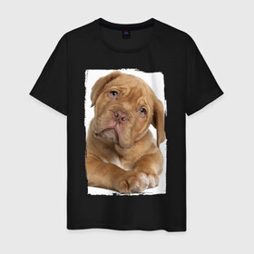 Мужская футболка хлопок с принтом Милый щеночек в Санкт-Петербурге, 100% хлопок | прямой крой, круглый вырез горловины, длина до линии бедер, слегка спущенное плечо. | животное | зверёк | красивый | ласковый | лучший друг человека | любимец | милый | нежный | питомец | собака | собачонка | щенок | щеночек