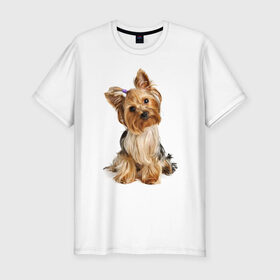 Мужская футболка премиум с принтом Ухоженная собачка в Санкт-Петербурге, 92% хлопок, 8% лайкра | приталенный силуэт, круглый вырез ворота, длина до линии бедра, короткий рукав | 