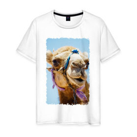 Мужская футболка хлопок с принтом Верблюд в Санкт-Петербурге, 100% хлопок | прямой крой, круглый вырез горловины, длина до линии бедер, слегка спущенное плечо. | верблюд | горб | животное | караван | песок | плевок | пустыня