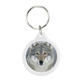 Брелок круглый с принтом Добрый волк в Санкт-Петербурге, пластик и полированная сталь | круглая форма, металлическое крепление в виде кольца | взгляд | волк | волки | оскал