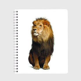 Тетрадь с принтом Король джунглей в Санкт-Петербурге, 100% бумага | 48 листов, плотность листов — 60 г/м2, плотность картонной обложки — 250 г/м2. Листы скреплены сбоку удобной пружинной спиралью. Уголки страниц и обложки скругленные. Цвет линий — светло-серый
 | leo | lion | власть | грива | дикая кошка | животное | зверь | клыки | когти | король джунглей | лев | мощь | мудрость | охотник | сила | хитрость | хищник | царь зверей | шерсть