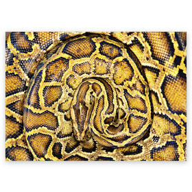 Поздравительная открытка с принтом Змея в Санкт-Петербурге, 100% бумага | плотность бумаги 280 г/м2, матовая, на обратной стороне линовка и место для марки
 | snake | анаконда | гадюка | змеиная | змея | кобра | кожа | кожура | удав | уж | червь | червяк | яд