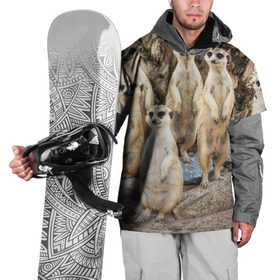 Накидка на куртку 3D с принтом Сурикаты в Санкт-Петербурге, 100% полиэстер |  | Тематика изображения на принте: животное | зверёк | калахари | мангуст | млекопитающее | сурикат | южная африка