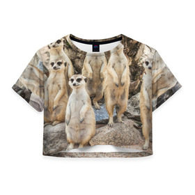 Женская футболка 3D укороченная с принтом Сурикаты в Санкт-Петербурге, 100% полиэстер | круглая горловина, длина футболки до линии талии, рукава с отворотами | животное | зверёк | калахари | мангуст | млекопитающее | сурикат | южная африка
