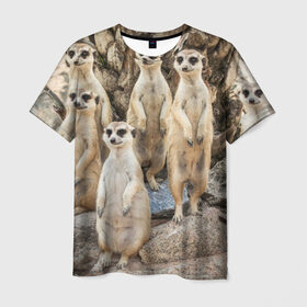 Мужская футболка 3D с принтом Сурикаты в Санкт-Петербурге, 100% полиэфир | прямой крой, круглый вырез горловины, длина до линии бедер | животное | зверёк | калахари | мангуст | млекопитающее | сурикат | южная африка