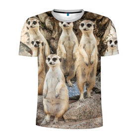 Мужская футболка 3D спортивная с принтом Сурикаты в Санкт-Петербурге, 100% полиэстер с улучшенными характеристиками | приталенный силуэт, круглая горловина, широкие плечи, сужается к линии бедра | животное | зверёк | калахари | мангуст | млекопитающее | сурикат | южная африка