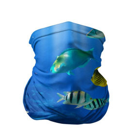 Бандана-труба 3D с принтом Дайвинг в Санкт-Петербурге, 100% полиэстер, ткань с особыми свойствами — Activecool | плотность 150‒180 г/м2; хорошо тянется, но сохраняет форму | дайвинг | египет | каникулы | коралловый риф | крабы | красное море | море | морские обитатели | океан | отдых | отпуск | подводные красоты | приключение | рыбки | рыбы | туризм