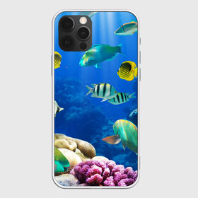 Чехол для iPhone 12 Pro Max с принтом Дайвинг в Санкт-Петербурге, Силикон |  | дайвинг | египет | каникулы | коралловый риф | крабы | красное море | море | морские обитатели | океан | отдых | отпуск | подводные красоты | приключение | рыбки | рыбы | туризм