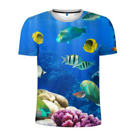 Мужская футболка 3D спортивная с принтом Дайвинг в Санкт-Петербурге, 100% полиэстер с улучшенными характеристиками | приталенный силуэт, круглая горловина, широкие плечи, сужается к линии бедра | Тематика изображения на принте: дайвинг | египет | каникулы | коралловый риф | крабы | красное море | море | морские обитатели | океан | отдых | отпуск | подводные красоты | приключение | рыбки | рыбы | туризм
