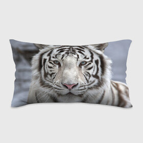 Подушка 3D антистресс с принтом Бенгальский тигр в Санкт-Петербурге, наволочка — 100% полиэстер, наполнитель — вспененный полистирол | состоит из подушки и наволочки на молнии | tiger | белый | дикая кошка | тигр | хищник
