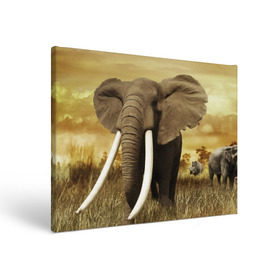 Холст прямоугольный с принтом Могучий слон в Санкт-Петербурге, 100% ПВХ |  | Тематика изображения на принте: elephant | африка | бивни | джунгли | мамонт | савана | сафари | слон | хобот