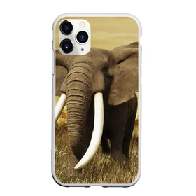 Чехол для iPhone 11 Pro матовый с принтом Могучий слон в Санкт-Петербурге, Силикон |  | elephant | африка | бивни | джунгли | мамонт | савана | сафари | слон | хобот