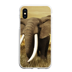 Чехол для iPhone XS Max матовый с принтом Могучий слон в Санкт-Петербурге, Силикон | Область печати: задняя сторона чехла, без боковых панелей | elephant | африка | бивни | джунгли | мамонт | савана | сафари | слон | хобот