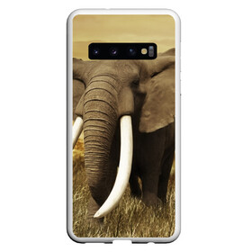 Чехол для Samsung Galaxy S10 с принтом Могучий слон в Санкт-Петербурге, Силикон | Область печати: задняя сторона чехла, без боковых панелей | Тематика изображения на принте: elephant | африка | бивни | джунгли | мамонт | савана | сафари | слон | хобот