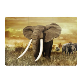 Магнитный плакат 3Х2 с принтом Могучий слон в Санкт-Петербурге, Полимерный материал с магнитным слоем | 6 деталей размером 9*9 см | Тематика изображения на принте: elephant | африка | бивни | джунгли | мамонт | савана | сафари | слон | хобот
