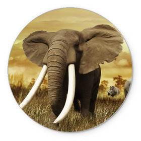 Коврик круглый с принтом Могучий слон в Санкт-Петербурге, резина и полиэстер | круглая форма, изображение наносится на всю лицевую часть | elephant | африка | бивни | джунгли | мамонт | савана | сафари | слон | хобот