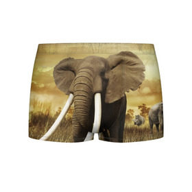 Мужские трусы 3D с принтом Могучий слон в Санкт-Петербурге, 50% хлопок, 50% полиэстер | классическая посадка, на поясе мягкая тканевая резинка | Тематика изображения на принте: elephant | африка | бивни | джунгли | мамонт | савана | сафари | слон | хобот