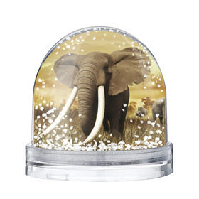 Водяной шар с принтом Могучий слон в Санкт-Петербурге, Пластик | Изображение внутри шара печатается на глянцевой фотобумаге с двух сторон | elephant | африка | бивни | джунгли | мамонт | савана | сафари | слон | хобот