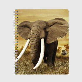 Тетрадь с принтом Могучий слон в Санкт-Петербурге, 100% бумага | 48 листов, плотность листов — 60 г/м2, плотность картонной обложки — 250 г/м2. Листы скреплены сбоку удобной пружинной спиралью. Уголки страниц и обложки скругленные. Цвет линий — светло-серый
 | elephant | африка | бивни | джунгли | мамонт | савана | сафари | слон | хобот