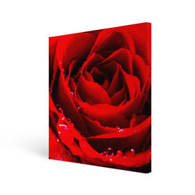 Холст квадратный с принтом Роза в Санкт-Петербурге, 100% ПВХ |  | роза | розовая | розы | романтика | цветы