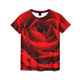 Женская футболка 3D с принтом Роза в Санкт-Петербурге, 100% полиэфир ( синтетическое хлопкоподобное полотно) | прямой крой, круглый вырез горловины, длина до линии бедер | роза | розовая | розы | романтика | цветы