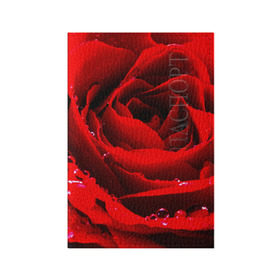 Обложка для паспорта матовая кожа с принтом Роза в Санкт-Петербурге, натуральная матовая кожа | размер 19,3 х 13,7 см; прозрачные пластиковые крепления | роза | розовая | розы | романтика | цветы