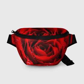 Поясная сумка 3D с принтом Роза в Санкт-Петербурге, 100% полиэстер | плотная ткань, ремень с регулируемой длиной, внутри несколько карманов для мелочей, основное отделение и карман с обратной стороны сумки застегиваются на молнию | роза | розовая | розы | романтика | цветы