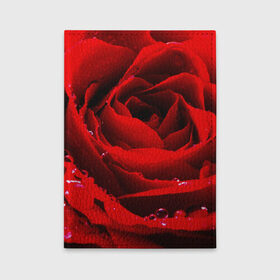 Обложка для автодокументов с принтом Роза в Санкт-Петербурге, натуральная кожа |  размер 19,9*13 см; внутри 4 больших “конверта” для документов и один маленький отдел — туда идеально встанут права | роза | розовая | розы | романтика | цветы