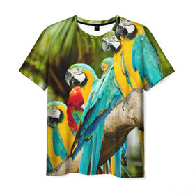 Мужская футболка 3D с принтом Попугаи на ветке в Санкт-Петербурге, 100% полиэфир | прямой крой, круглый вырез горловины, длина до линии бедер | джунгли | клюв | острова | перья | попугай | птица | тропики | экзотика