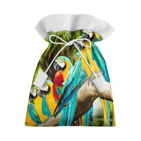 Подарочный 3D мешок с принтом Попугаи на ветке в Санкт-Петербурге, 100% полиэстер | Размер: 29*39 см | джунгли | клюв | острова | перья | попугай | птица | тропики | экзотика