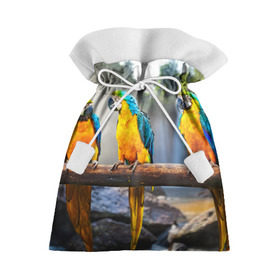 Подарочный 3D мешок с принтом Экзотические попугаи в Санкт-Петербурге, 100% полиэстер | Размер: 29*39 см | джунгли | клюв | острова | перья | попугай | птица | тропики | экзотика