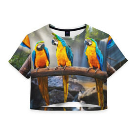 Женская футболка 3D укороченная с принтом Экзотические попугаи в Санкт-Петербурге, 100% полиэстер | круглая горловина, длина футболки до линии талии, рукава с отворотами | Тематика изображения на принте: джунгли | клюв | острова | перья | попугай | птица | тропики | экзотика