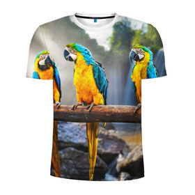 Мужская футболка 3D спортивная с принтом Экзотические попугаи в Санкт-Петербурге, 100% полиэстер с улучшенными характеристиками | приталенный силуэт, круглая горловина, широкие плечи, сужается к линии бедра | Тематика изображения на принте: джунгли | клюв | острова | перья | попугай | птица | тропики | экзотика