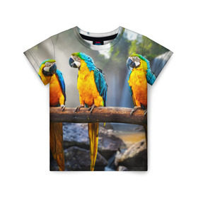 Детская футболка 3D с принтом Экзотические попугаи в Санкт-Петербурге, 100% гипоаллергенный полиэфир | прямой крой, круглый вырез горловины, длина до линии бедер, чуть спущенное плечо, ткань немного тянется | джунгли | клюв | острова | перья | попугай | птица | тропики | экзотика