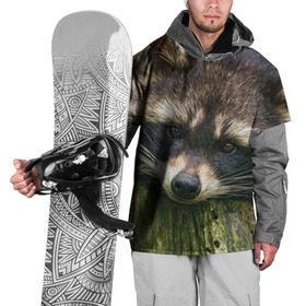Накидка на куртку 3D с принтом Енотик в Санкт-Петербурге, 100% полиэстер |  | Тематика изображения на принте: енот | животные | звери | природа
