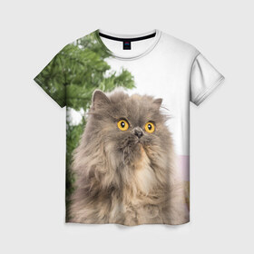 Женская футболка 3D с принтом Пушистый кот в Санкт-Петербурге, 100% полиэфир ( синтетическое хлопкоподобное полотно) | прямой крой, круглый вырез горловины, длина до линии бедер | 