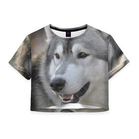 Женская футболка 3D укороченная с принтом Хаски в Санкт-Петербурге, 100% полиэстер | круглая горловина, длина футболки до линии талии, рукава с отворотами | собака | собаки | хаски