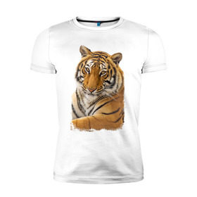 Мужская футболка премиум с принтом Тигр (retro style) в Санкт-Петербурге, 92% хлопок, 8% лайкра | приталенный силуэт, круглый вырез ворота, длина до линии бедра, короткий рукав | Тематика изображения на принте: tiger | дикая кошка | тигр | хищник